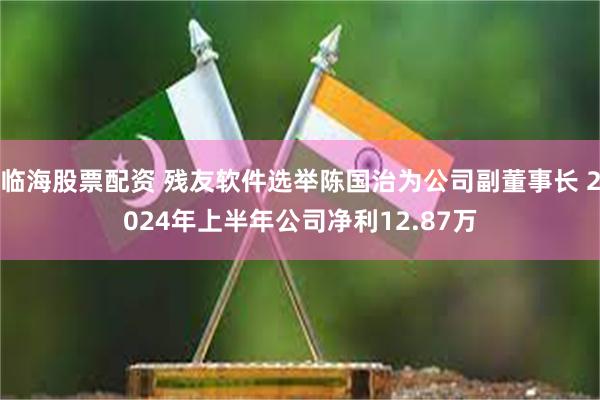 临海股票配资 残友软件选举陈国治为公司副董事长 2024年上半年公司净利12.87万