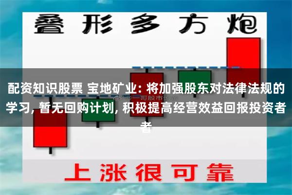 配资知识股票 宝地矿业: 将加强股东对法律法规的学习, 暂无回购计划, 积极提高经营效益回报投资者