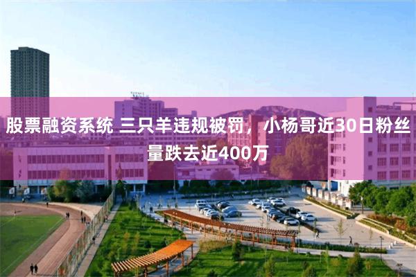 股票融资系统 三只羊违规被罚，小杨哥近30日粉丝量跌去近400万