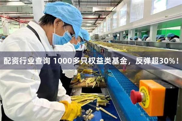 配资行业查询 1000多只权益类基金，反弹超30%！