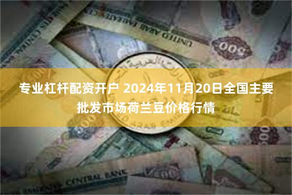 专业杠杆配资开户 2024年11月20日全国主要批发市场荷兰豆价格行情