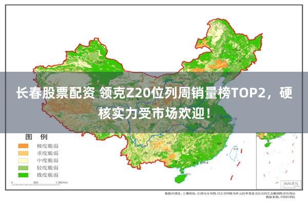 长春股票配资 领克Z20位列周销量榜TOP2，硬核实力受市场欢迎！