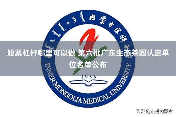 股票杠杆哪里可以做 第六批广东生态茶园认定单位名单公布