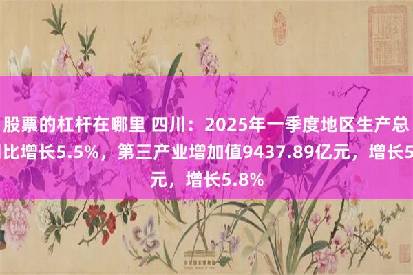 股票的杠杆在哪里 四川：2025年一季度地区生产总值同比增长5.5%，第三产业增加值9437.89亿元，增长5.8%